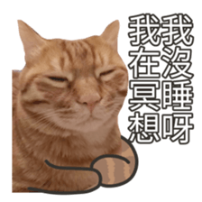 cartoon face cat 2 sticker #14404063