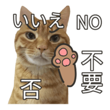 cartoon face cat 2 sticker #14404067