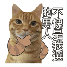 cartoon face cat 2 sticker #14404069