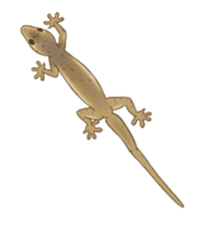 Little House Gecko sticker #14404838