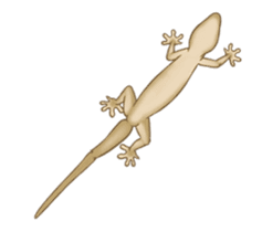 Little House Gecko sticker #14404839