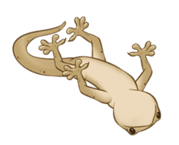 Little House Gecko sticker #14404847