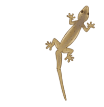 Little House Gecko sticker #14404857