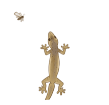 Little House Gecko sticker #14404860