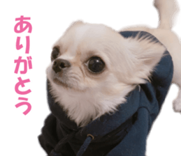 KIRAKIRA three sisters sticker #14404966