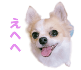 KIRAKIRA three sisters sticker #14404968