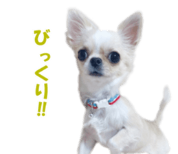 KIRAKIRA three sisters sticker #14404975