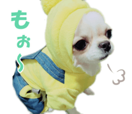 KIRAKIRA three sisters sticker #14404976