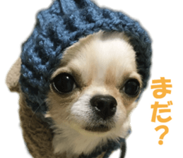 KIRAKIRA three sisters sticker #14404977