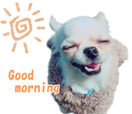 KIRAKIRA three sisters sticker #14404978