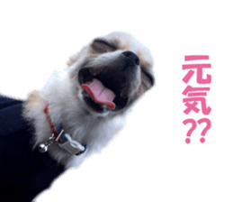 KIRAKIRA three sisters sticker #14404979