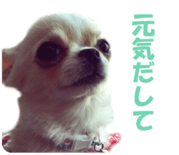 KIRAKIRA three sisters sticker #14404980