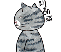 Cats fed up by Kamijn sticker #14405010