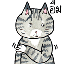 Cats fed up by Kamijn sticker #14405027