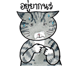 Cats fed up by Kamijn sticker #14405036