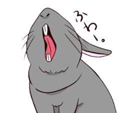 tuntunMonakanousagiseikatsu sticker #14405185