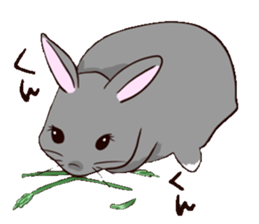 tuntunMonakanousagiseikatsu sticker #14405187