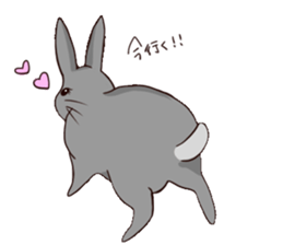 tuntunMonakanousagiseikatsu sticker #14405192