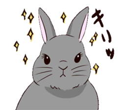 tuntunMonakanousagiseikatsu sticker #14405194