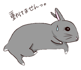 tuntunMonakanousagiseikatsu sticker #14405196