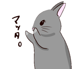 tuntunMonakanousagiseikatsu sticker #14405202