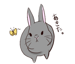 tuntunMonakanousagiseikatsu sticker #14405203