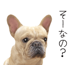 Hana-chan of French bulldog sticker #14405859