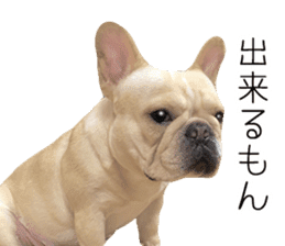 Hana-chan of French bulldog sticker #14405860