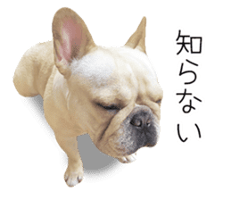 Hana-chan of French bulldog sticker #14405865