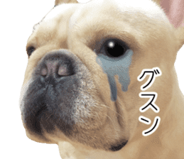 Hana-chan of French bulldog sticker #14405866