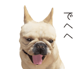 Hana-chan of French bulldog sticker #14405873