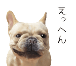 Hana-chan of French bulldog sticker #14405881