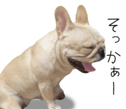 Hana-chan of French bulldog sticker #14405885