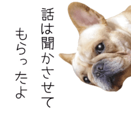 Hana-chan of French bulldog sticker #14405888