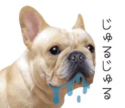 Hana-chan of French bulldog sticker #14405889