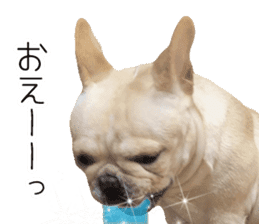 Hana-chan of French bulldog sticker #14405891