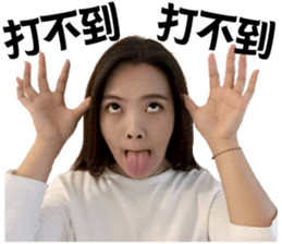 Shine Runway sticker #14405938