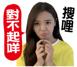 Shine Runway sticker #14405942