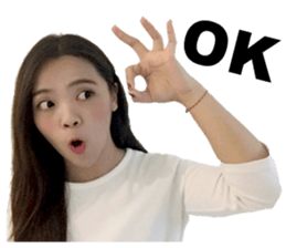 Shine Runway sticker #14405944