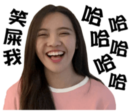 Shine Runway sticker #14405957