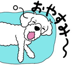 SORA THE MALTESE sticker #14406613