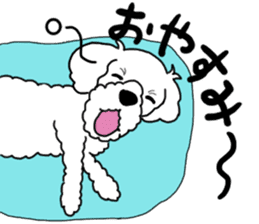 SORA THE MALTESE sticker #14406613