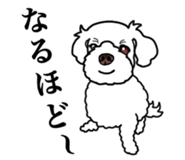 SORA THE MALTESE sticker #14406614