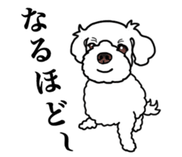 SORA THE MALTESE sticker #14406614