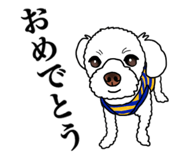 SORA THE MALTESE sticker #14406615