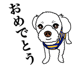 SORA THE MALTESE sticker #14406615