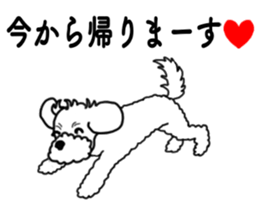 SORA THE MALTESE sticker #14406619