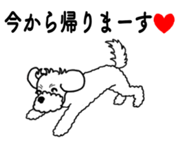 SORA THE MALTESE sticker #14406619