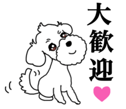 SORA THE MALTESE sticker #14406624