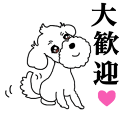 SORA THE MALTESE sticker #14406624